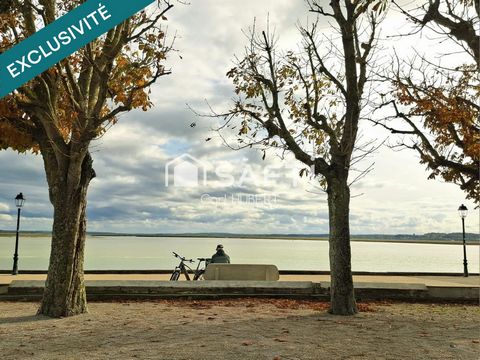 photo no. 15