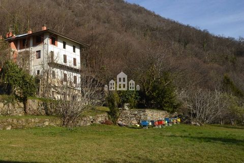 In the external area surrounded by greenery in Lessolo, in the quiet locality of Ronchi. A spacious farmhouse with arched openings in the Canavese style and an open and panoramic view. The ground floor of the structure currently houses two rooms used...