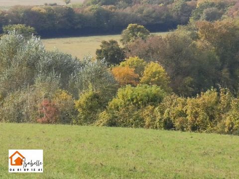 Très belle propriété de 60 hectares tout attenants, avec étang, mare, source, ruisseau, et autour d’une maison individuelle T6, avec grange, hangar, étable en pierre, stabulation, appentis, ancien petit poulailler.