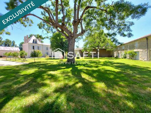 Magnifique manoir avec parc arboré de plus 6000m²