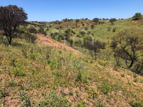Rural land for sale - Pega Amarelo ,Vila Nova de Cacela This rural land with 11960m2 is a great opportunity for agricultural purposes. This fertile land is soft and half of the land is flat and there is a hill. There is a stream located in the middle...