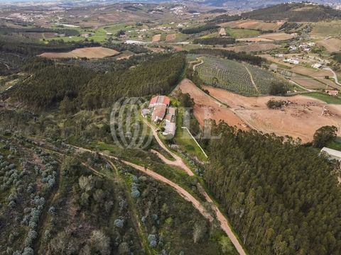 Quinta do Tarejo, 481,469 sqm land and 1,400 sqm of construction gross area, with a 3-bedroom villa, a swimming pool and a 235 sqm terrace, unobstructed view, located in Sobral da Abelheira, Mafra. The land has eucalyptus, pine forests, dense bushes ...
