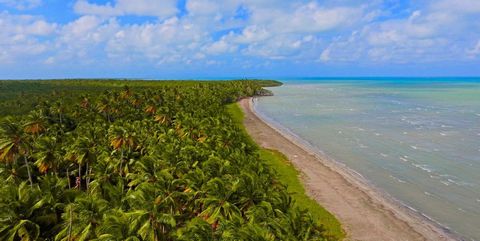 MICHES, LAND WITH BEACH OF 122.000 M2, Price neg: 30 USD/mt Beachfront: 210 mt In a dream environment, there is a single plot located on Playa Morro, in the municipal district of Miches. It is the best option in this area for hotel/resort development...
