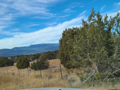 Amazing Investment Opportunity!! Easy terrain, some trees & can be divided for residential development. Occupy all or divide & sell lots to pay for your dream. Beautiful sunrises, beautiful sunsets & views are waiting on this 29.69+/- acre parcel. Th...