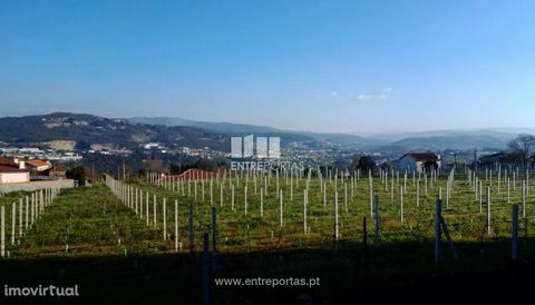 Land for sale, walled, situated in a construction area with eira and espigueiro. Stunning views. Moinhos River, Penafiel. Ref.: MC08904 FEATURES: Land Area: 244 m2 Area: 244 m2 Used Area: 244 m2 Energy Efficiency: Exempt ENTREPORTAS Founded in 2004, ...