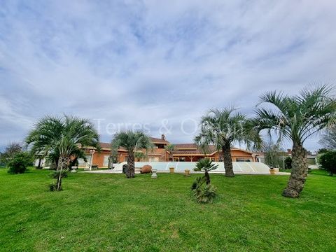 Exceptional property composed of two houses of approximately 350m2 and 120m2 with beautiful land of more than 4500m2 and swimming pool of 10 by 5 meters. The main house with generous volumes and the appearance of a Spanish hacienda consists of an ent...