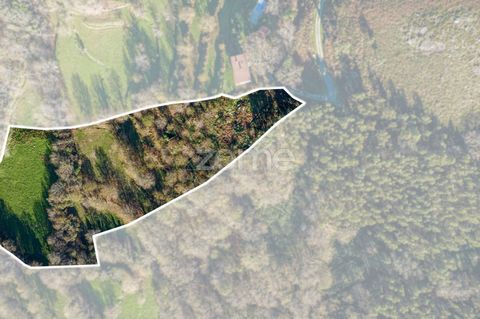 Identificação do imóvel: ZMPT563229 9100m2 land located in Terras de Bouro, Gerês. In an area known as Lugar do Zeral, this land has the ideal proportion for the construction of a 4-front house, with garden spaces and plenty of outdoor area with spri...