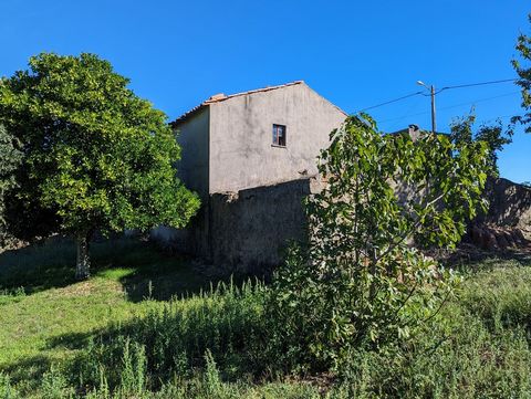 Village house of 166m2 with developable land of 2700m2, several fruit trees, borehole and a pine forest. Have you ever thought about living in central Portugal? In a village surrounded by nature and full of tranquility? Enjoy this house with an area ...