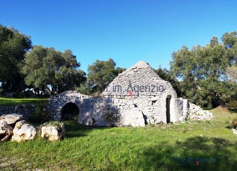A complex of panoramic trulli for sale in Ostuni, located on hilly terrain. The property consists of two trulli; the first is a trullo with a tree -alcove cone while the second is a trullo with a single cone, both completely to be rebuilt. Externally...
