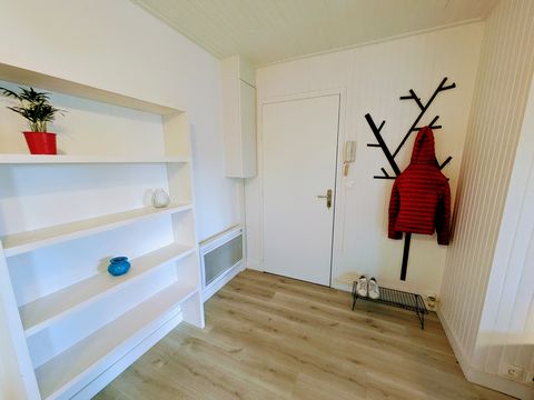 photo no. 8
