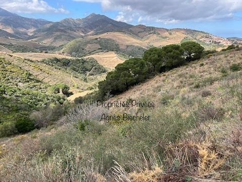 IN BANYULS SUR MER (66650), exclusively at PROPRIETES PRIVES 8,000 m2 of fallow agricultural land accessible by off-road car. Located in the hinterland, 10 minutes from the beaches, it offers a panoramic view of the mountains and in particular of the...