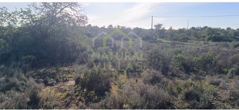 Rustic land with mountain views in Boavista, Olhão in the Algarve. This rustic property with a total land area of 1,560m2 is composed of arable culture. It is characterised by its totally flat soil. Enjoy spectacular views over the surrounding countr...