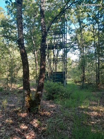 CLAIRIMMO PAUILLAC vous présente à la vente un terrain forestier. Sur 9707m² boisé ,un pylône de chasse ériger au milieu des arbres vous permettra une observation parfaite de la faune et la flore. Amoureux de la nature ce terrain est fait pour comble...