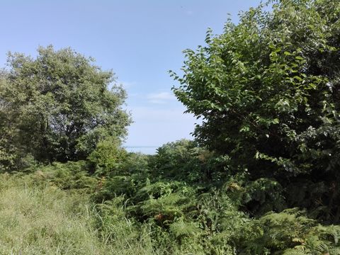 Buildable plot in the area of Ano Poroia in Serres. It has a total area of 2000 sq.m. It has a wonderful view of Lake Kerkini and it has 40 olive trees and other trees such as pomegranates, sour cherries, figs and a huge linden tree. The plot is on t...