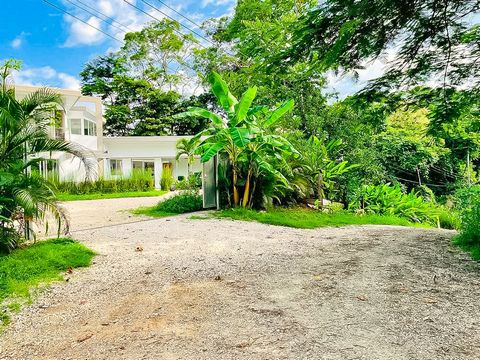 Este imóvel tem um potencial incrível para uma grande família ou mesmo para qualquer pessoa que goste de espaços amplos em sua casa... apenas a poucos minutos de carro das praias e do centro de Playa Samara, onde pode encontrar escolas, supermercados...