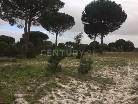 Localização: Localizado em frente à Estrada Nacional 4, este terreno rústico tem uma localização privilegiada, pois situa-se junto à entrada da auto-estrada A13 e relativamente perto - 7km - da localidade de Pegões. Esta localização permite rapidez e...