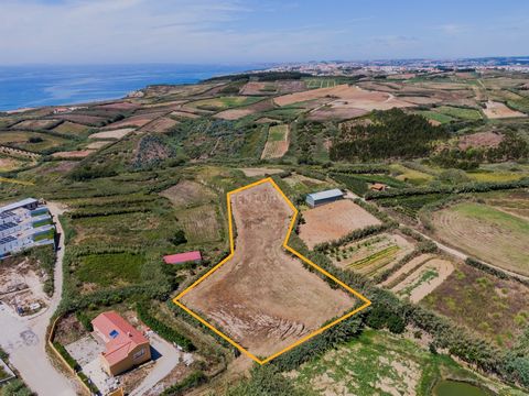 Descubra este magnífico terreno de 6120 m², estrategicamente localizado numa zona urbanizável, oferecendo um potencial extraordinário para a construção de quatro moradias, com projeto de loteamento já aprovado. Características do Terreno: Área Total:...