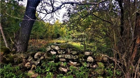 AANBIEDING 11980 - ... - Wij bieden een stuk grond met een oppervlakte van 10 hectare. gelegen in de nabijheid van de hoofdstraat in Vidima. In het noorden wordt het pand begrensd door een bos en in het zuiden door een rivier. Gelegen op een zuidelij...