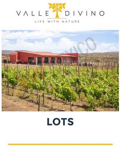 Valle Divino ligt op 30 minuten van Ensenada, 30 minuten van Rosarito en recht tegenover de beroemde golfbaan van Bajamar, met een landelijk en zelfvoorzienend concept. Valle Divino als resortHet zal een woonwijk, een commercieel gebied en diensten h...