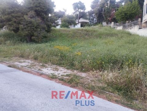 Nea Penteli, Agios Silas, Terrain à vendre, Plans de la ville, 499 m², Façade (m) : 28, Facteur de construction : 0,6, Facteur de construction : 40, Vue : Bon, Caractéristiques : Pour le développement, Bord de route, Au coin, Sur l’avenue, Trifatso, ...