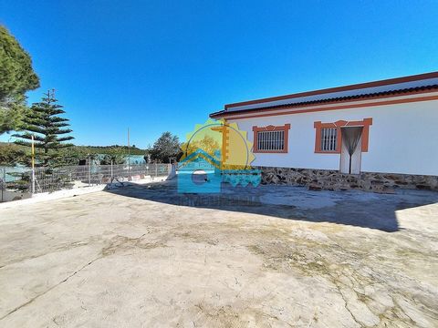 InmoUmbria propone in vendita questa spettacolare casa a El Rincón. Situata su un terreno di 1.200 m2, in mezzo alla natura, circondata da pini e alberi da frutto, questa bella casa di quasi 180 m2 costruita. Distribuita in modo tale che, cambiando l...