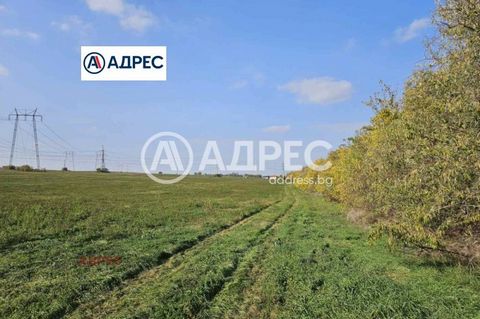 Terrain industriel dans le village d’Ezerovo 8 500 m² avec DDP et les paramètres de construction suivants - densité 80%, surface bâtie 4 000 m², intensité 2,5, hauteur 10 m. Il est situé sur la route lacustre Varna - Devnya, près du TPP de Varna, du ...