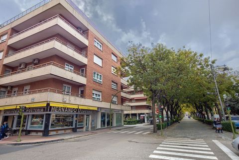 Vendemos gran piso en el corazón de Guadalajara, La vivienda, en una comunidad con plaza de garaje, trastero y portero físico está situada en el Paeo del Dr. Fernández Iparraguirre, una de las arterias centrales más cotizadas de la capital, rodeada d...