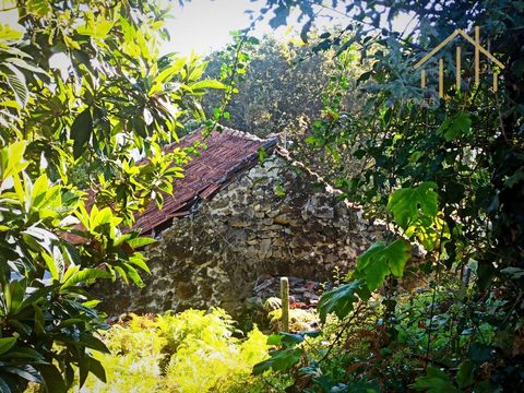 Steinhaus mit Grundstück, in São Pedro do Sul Fantastisches Steinhaus mit 2 zu restaurierenden Etagen, mit 2.500 m2 Land und einem Heuhaufen in der schönen Gemeinde São Pedro do Sul. Sonnige Lage und hervorragende Aussicht. Das Grundstück befindet si...