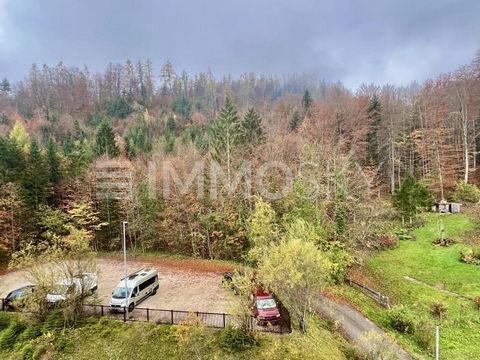 Schöne 2-Zimmerwohnung in ruhiger Lage nahe dem Erholungs- und Skigebiet sowie Nähe zu umliegenden Seen Diese helle, schlichte aber gemütliche 2-Zimmerwohnung bietet Ihnen den idealen Rückzugs Ort zum Entspannen nach einer herrlichen Wanderung in den...