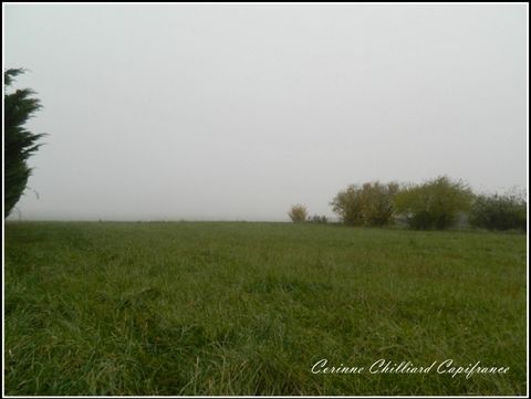 photo no. 2