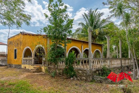 Situé à seulement 30 minutes de route de Mérida, le Xpuhuy Ranch près de Seyé offre un mélange idéal de confort et de tranquillité. La propriété couvre 20,2 acres (50 acres) de pâturages luxuriants et irrigués et présente une variété de caractéristiq...