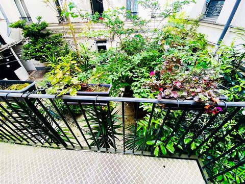 photo no. 14