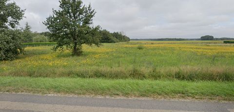 Patrick LOISY vous propose à la vente un terrain constructible, situé à 6 km de Cosne-Cours-sur-Loire, 7 km de Sancerre, 1 km de l'autoroute et à 1h45 de Paris sud. 25 mètres de façade. Terrain plat de 2500 m2, CU positif. Prix : 39 000 euros honorai...