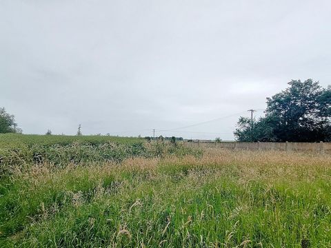 Situé au cœur de la charmante commune de Wavignies, ce terrain à bâtir de 470 m² est une opportunité idéale pour concrétiser votre projet immobilier sur mesure. Wavignies est reconnue pour son atmosphère accueillante et chaleureuse. Ce bien bénéficie...