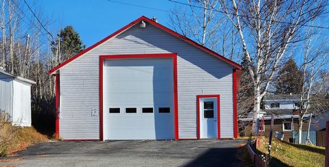 Bâtiment commercial situé au coeur du centre-ville de Gaspé. Plafond de 11 pieds et plus, dimension du bâtiment 30 x 60 pieds avec une entrée asphaltée. Chauffage électrique et/ou mazout. - Une préautorisation bancaire à jour ou une preuve de liquidi...