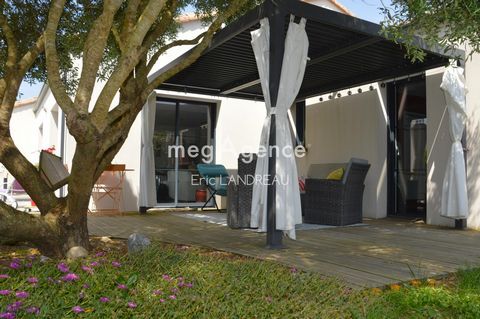 photo no. 11