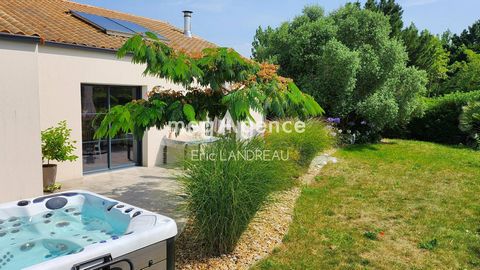 photo no. 12