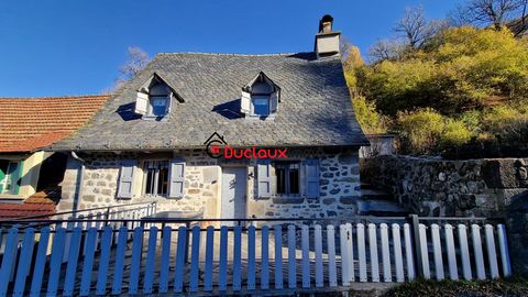 EXCLUSIVELY at Duclaux IMMO, In the heart of the Mandailles valley, at the foot of the Puy Mary, come and discover this magnificent old stone house completely renovated with taste. The property is presented as follows: *On the ground floor: a warm li...