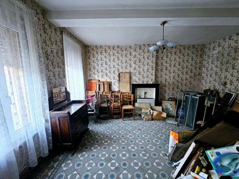 photo no. 2