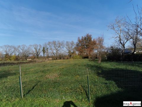 photo no. 18