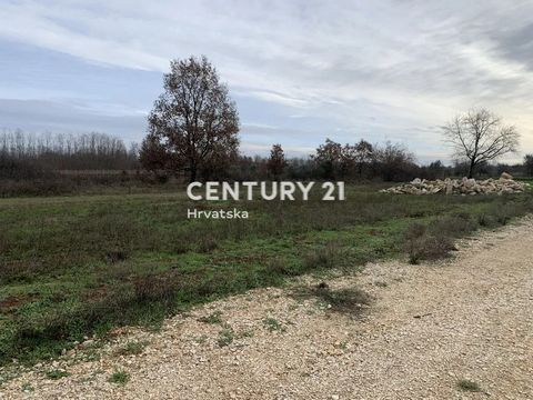 UMAG, AGRICULTURAL LAND FOR SALE WITH WATER CONNECTIONIn a quiet village, only 3700 m from the beach, there is this regular, cleared agricultural land of 550 m2.It is possible to buy 1100 m2 because there is another plot next to it.There is a water c...