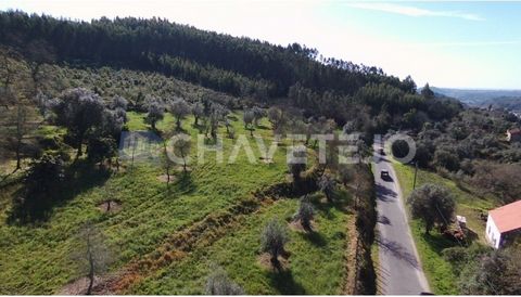 Excelente oportunidad de adquirir terreno con proyecto arquitectónico para casa T3 y casa T2 con dos entradas desde la carretera principal, agua, luz y pozo con manantial, con impresionantes vistas, en el municipio de Ferreira do Zêzere El terreno ti...