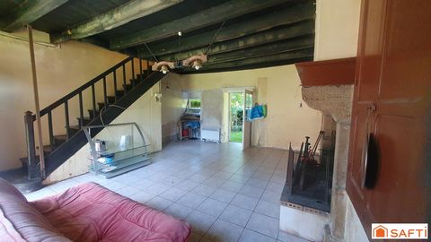 photo no. 3