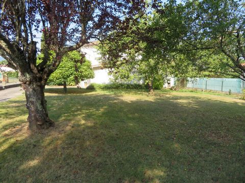 photo no. 10