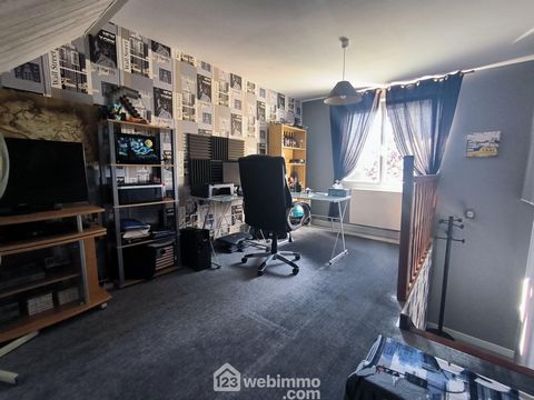 photo no. 11