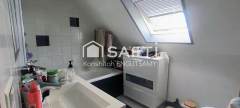 photo no. 8