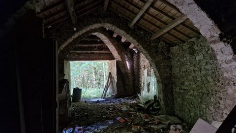 photo no. 8