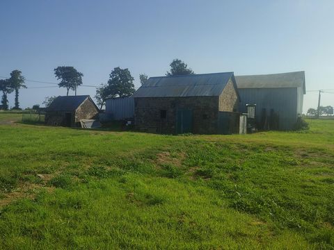 photo no. 3