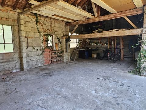 photo no. 18