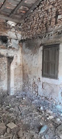 photo no. 5